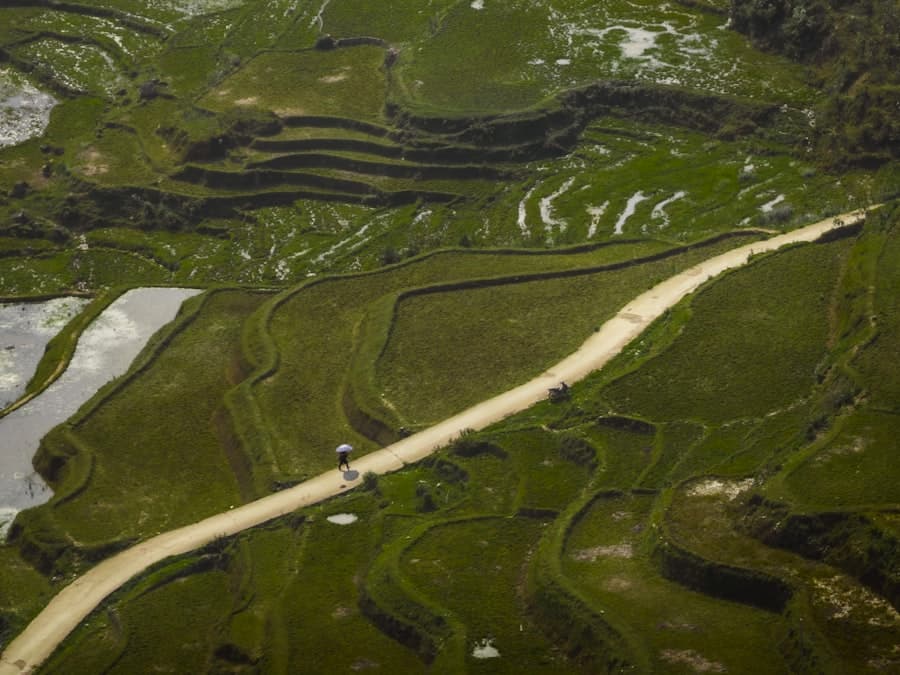 Aerial view of terraced rice fields